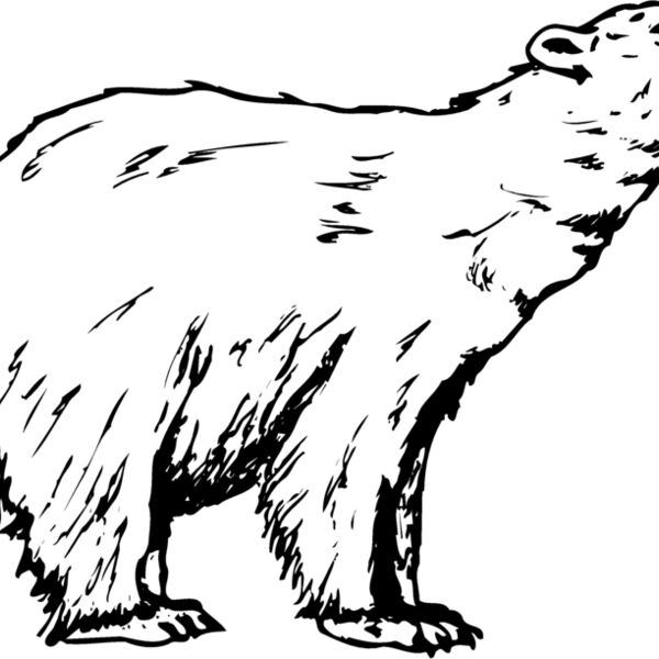 BEAR016 Thumbnail