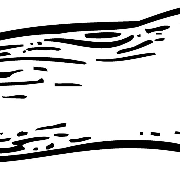VEG012 Thumbnail