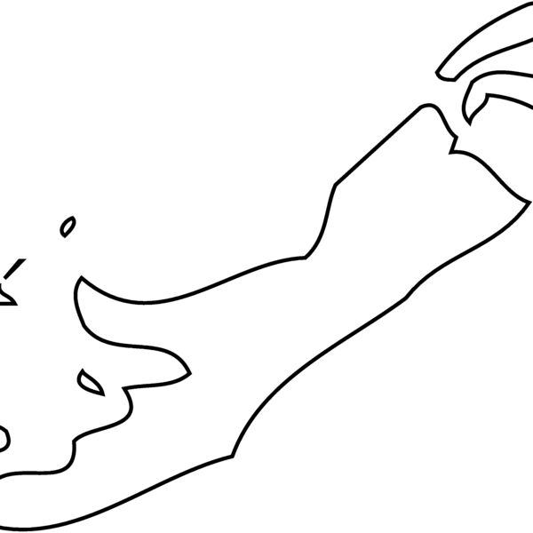 BERMUDA Thumbnail